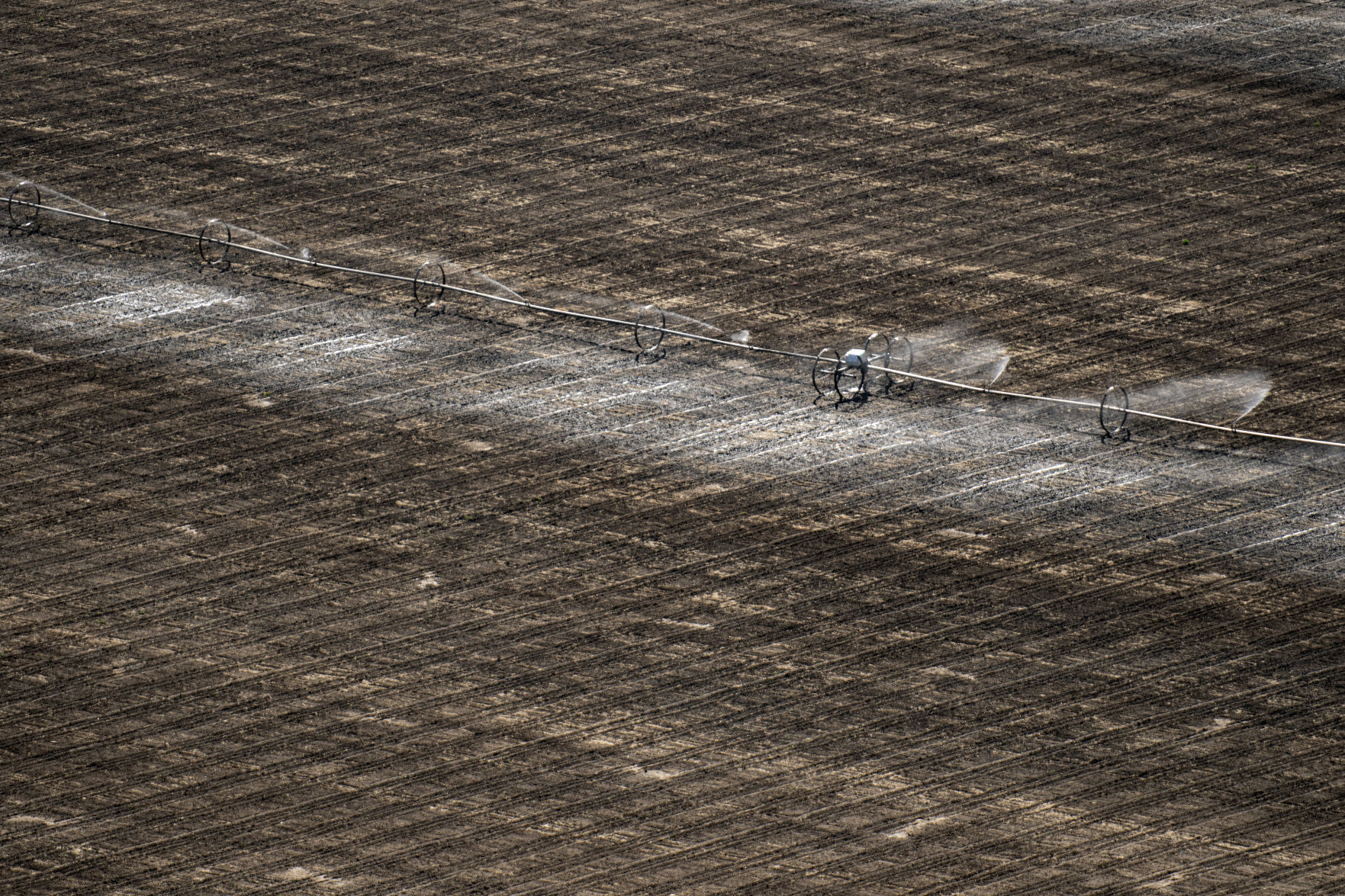 Irrigation farming
